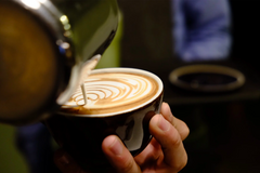 DE LA FINCA A TU TAZA